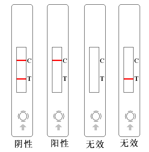 呋喃西林结果图示-瑞奇生物