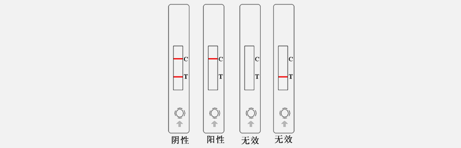 检验结果